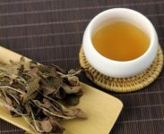 金線蓮泡茶一次放幾根？