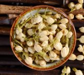 鮮茉莉花怎么炮制成茶？