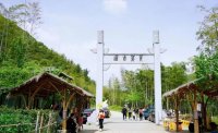 5月12日：徒步貢茶古道，天然氧吧，綠色之旅